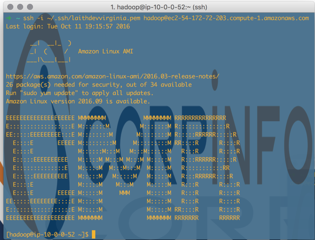 SSH Terminal Session