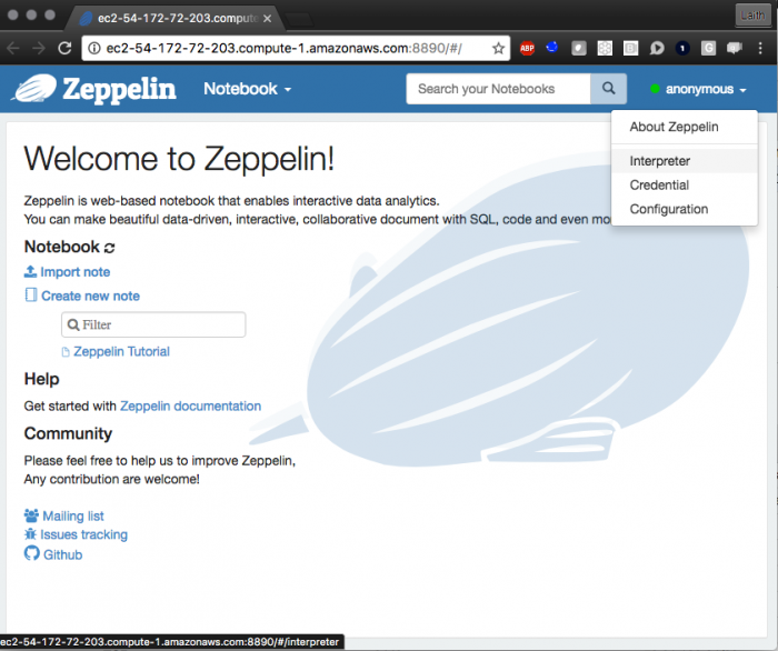 anonymous - interpreter